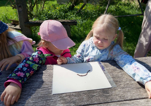 Výlet Lipka - Motýlci