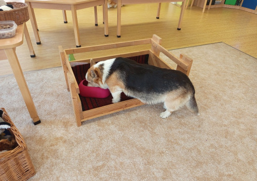 Dětský den u Motýlků